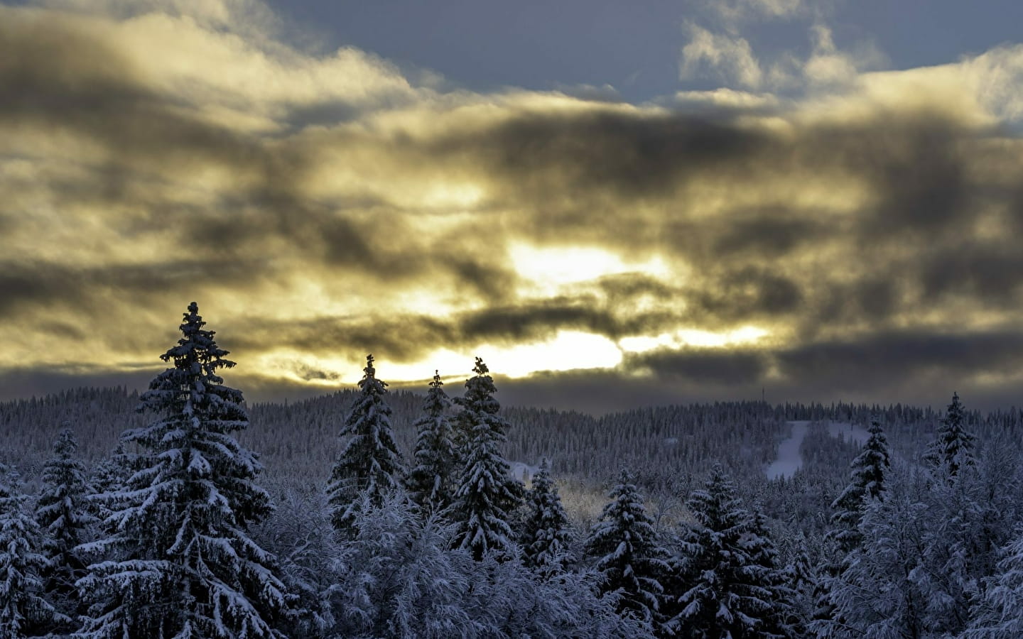 New Year - Fiesta in Jura