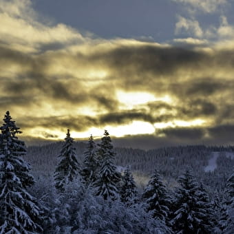 New Year - Fiesta in Jura - 