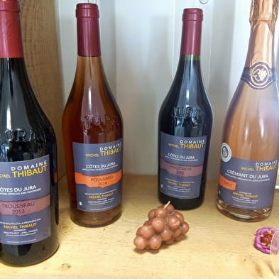 Domaine Michel Thibaut