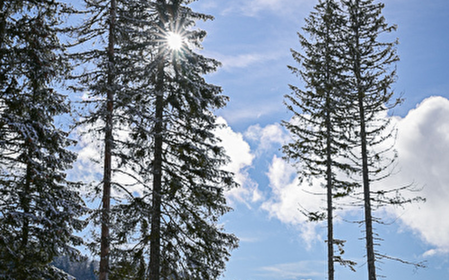 Site Nordique de Arc-sous-Cicon