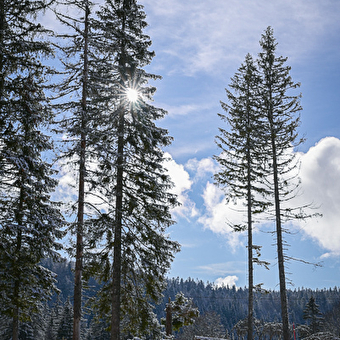 Site Nordique de Arc-sous-Cicon - ARC-SOUS-CICON