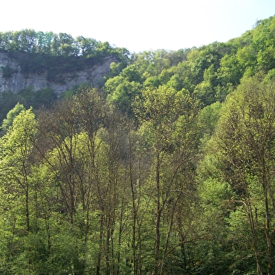 Val de Cusance (via the Saint-Erminfroi cross) 