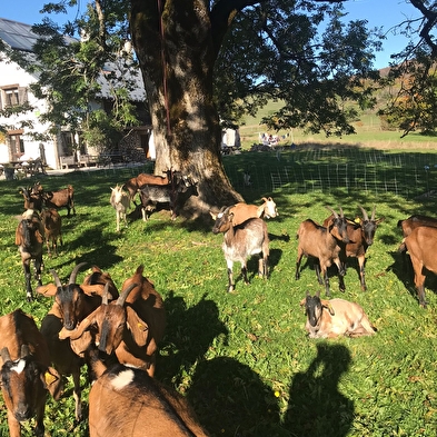 Auberge de la Grange des Plans