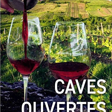 Open cellars at Domaine Désiré Petit