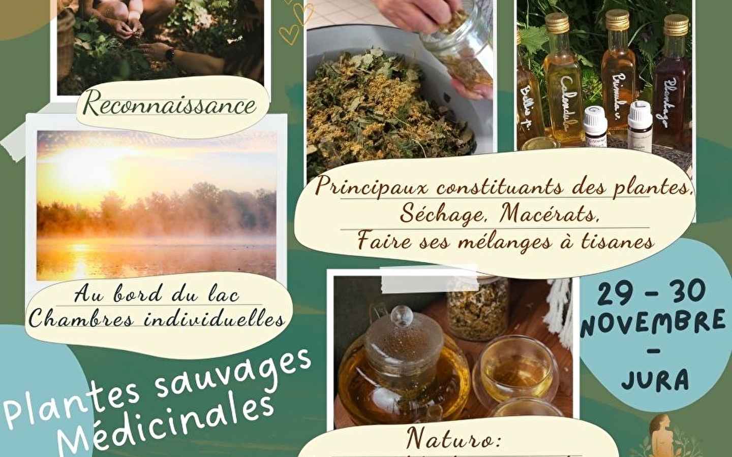 Plants in winter: breathing and cultivating light