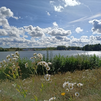 Ponds, canals and milestones circuit - BROGNARD
