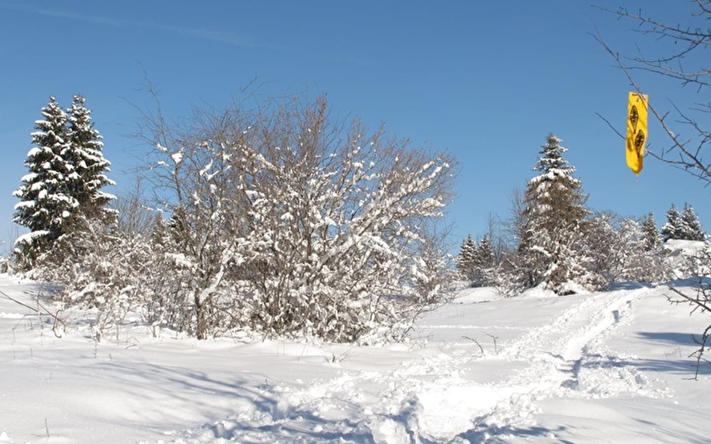 Snowshoeing trails - Lac-des-Rouges-Truites