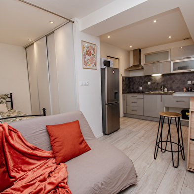 L'Écrin Pontissalien - Studio avec Parking