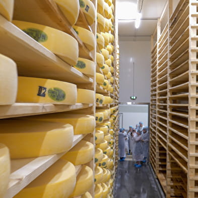 Visite gourmande : Comté moi le Valromey, visite découverte de la Fruitière du Valromey