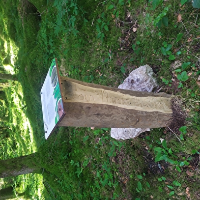 From upstream corner to downstream corner