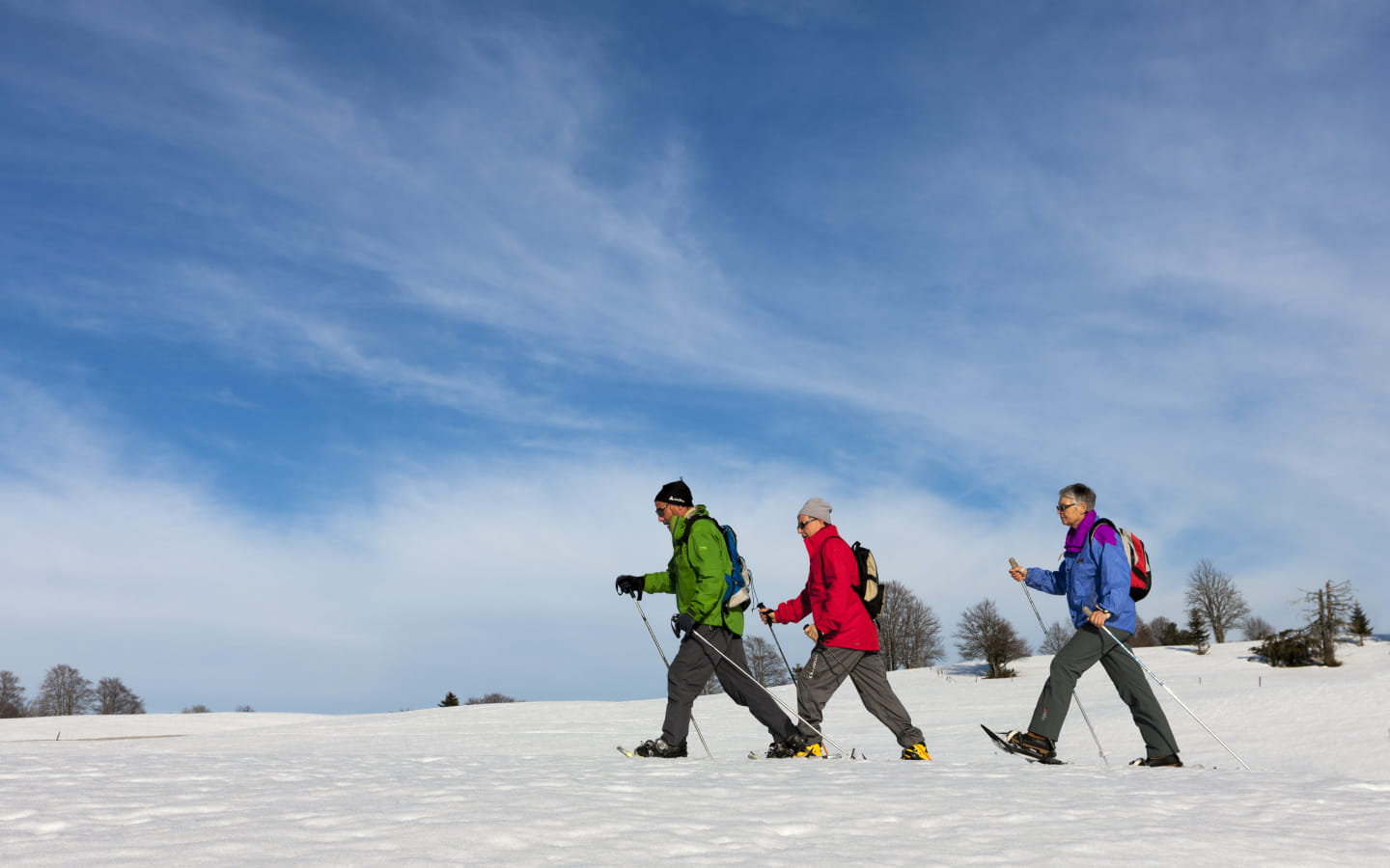 Snowshoe trek across the Jura