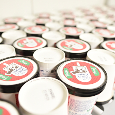 Les glaces du Truchet