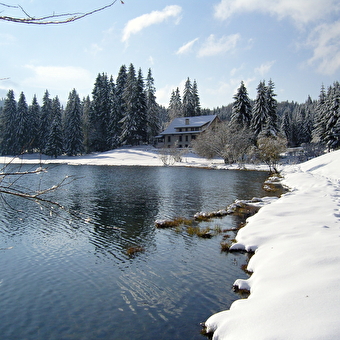 Hôtel Auberge du Lac Genin - CHARIX