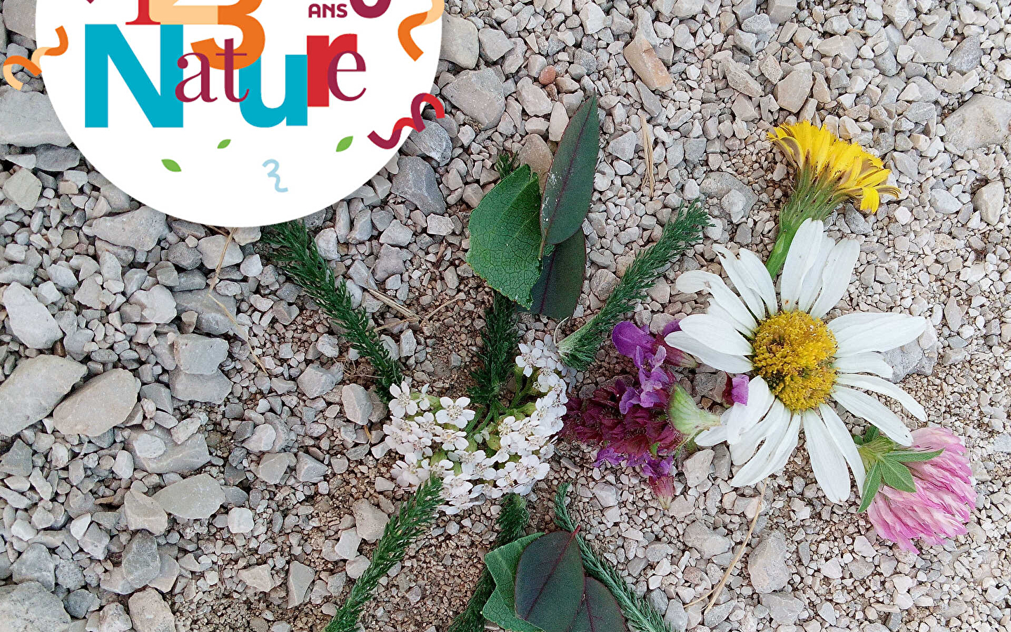 123 NATURE WORKSHOP: Land art in the forest