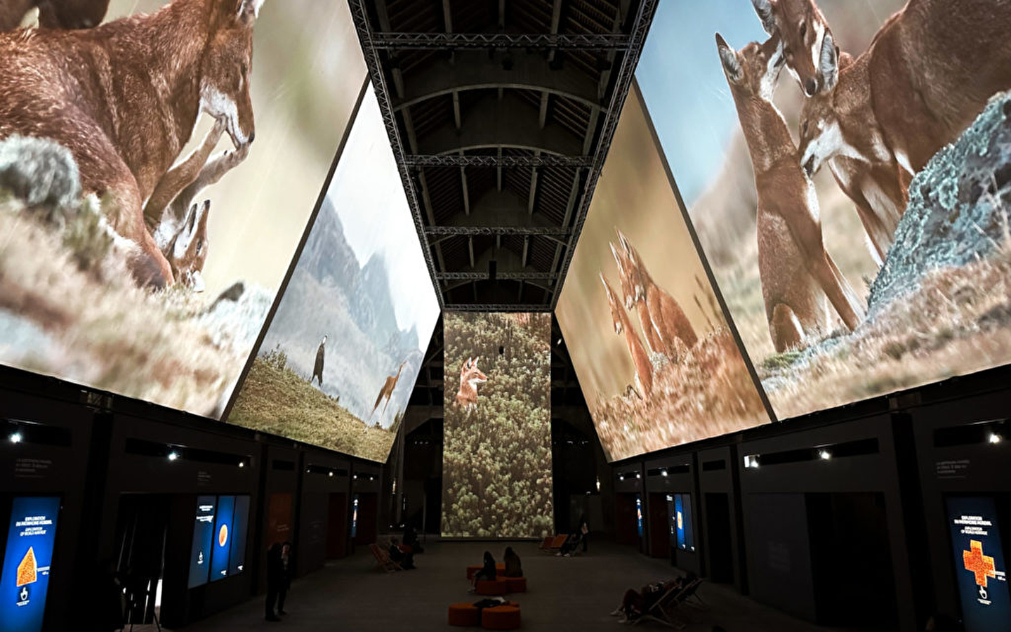 Screening of the film: 'Vincent Munier, Des Vosges au Tibet' (Vincent Munier, From the Vosges to Tibet)