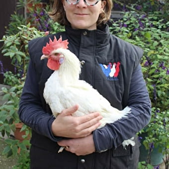 La ferme du coq bressan - COURLAOUX