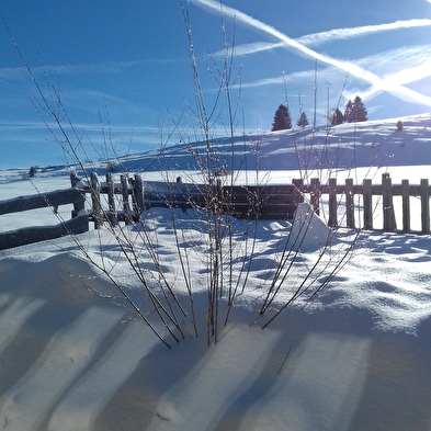Gîte de la Randonnée