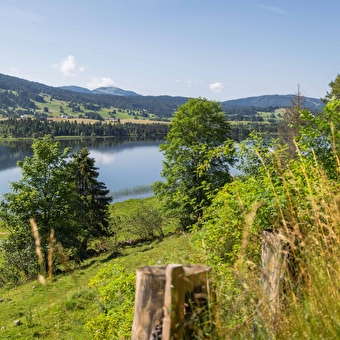 The Grand Tétras loop - Cycle route 12 - LONGCHAUMOIS