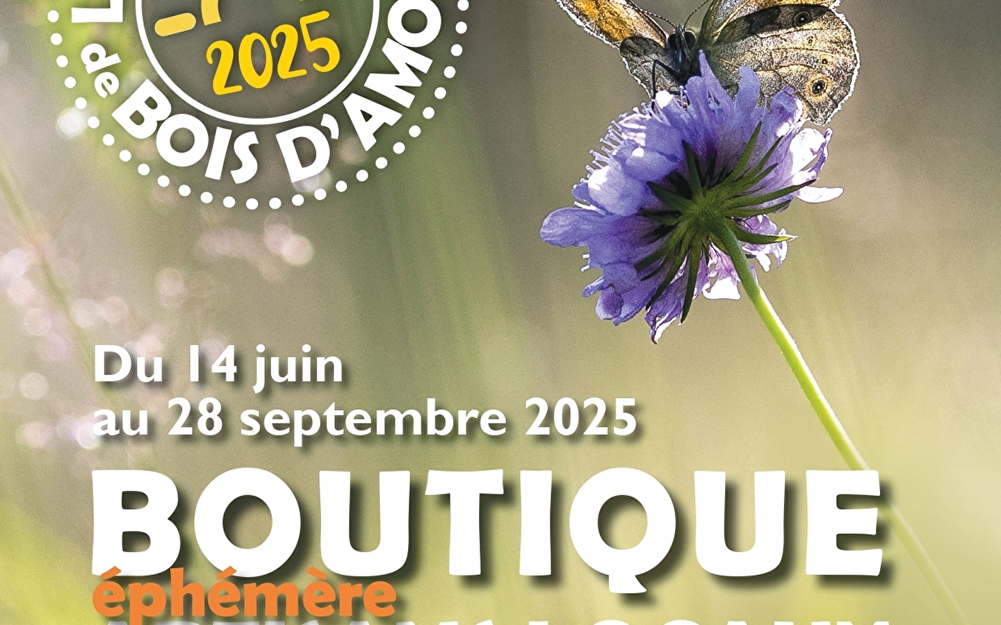A beautiful summer in Bois d'Amont