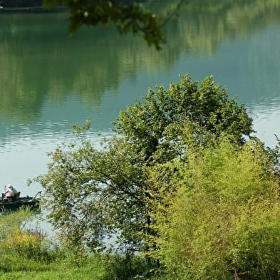 Lac de Conflans