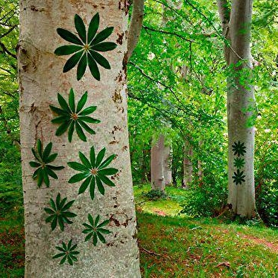 Totem tree