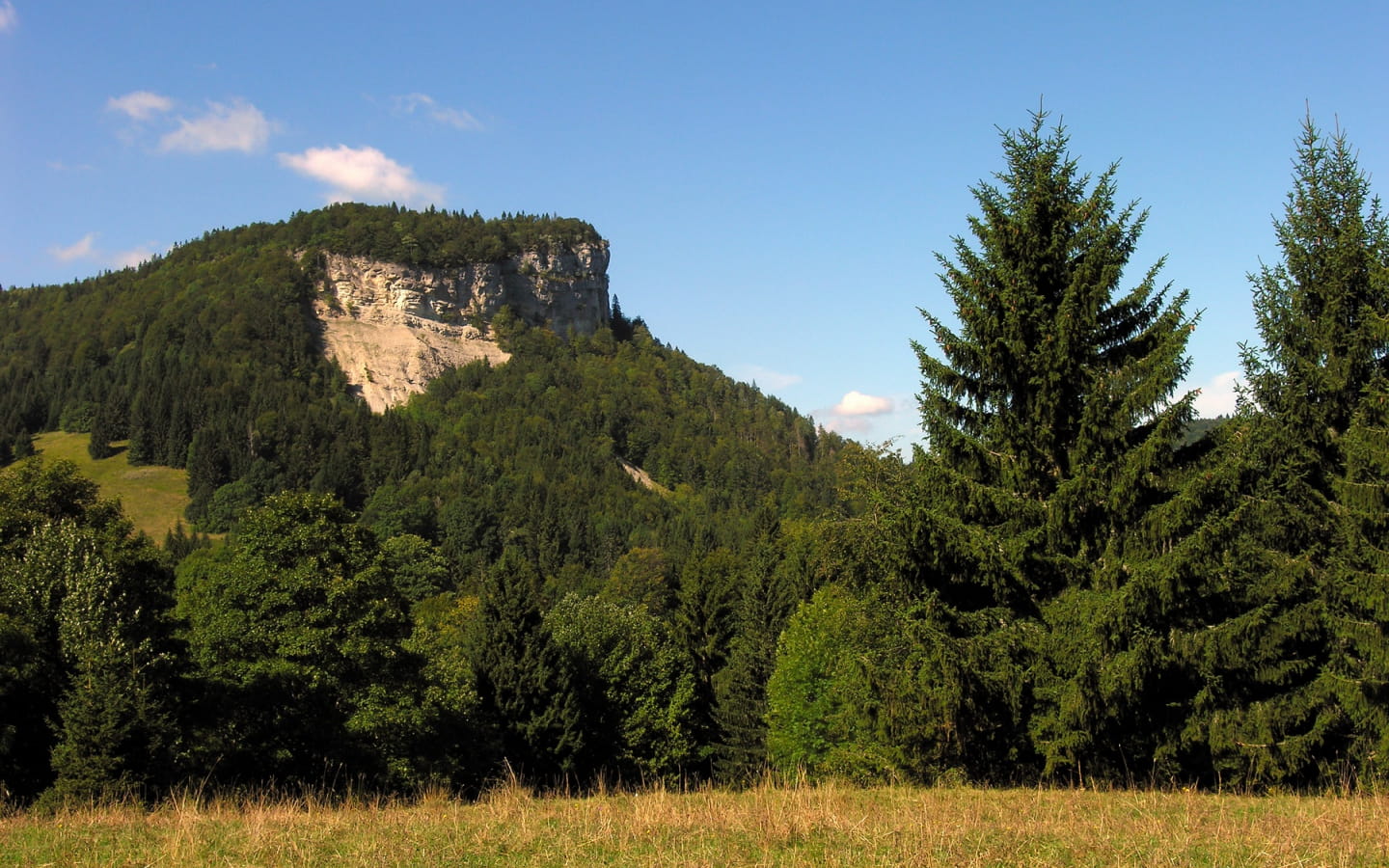 Le Mont Fier