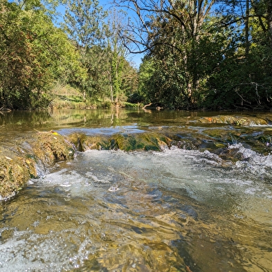 Mount guillon walking loop