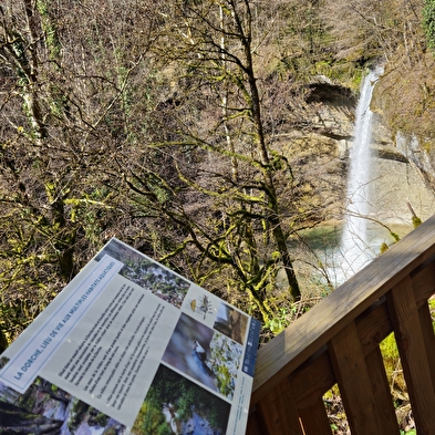 Cascade de la Dorche