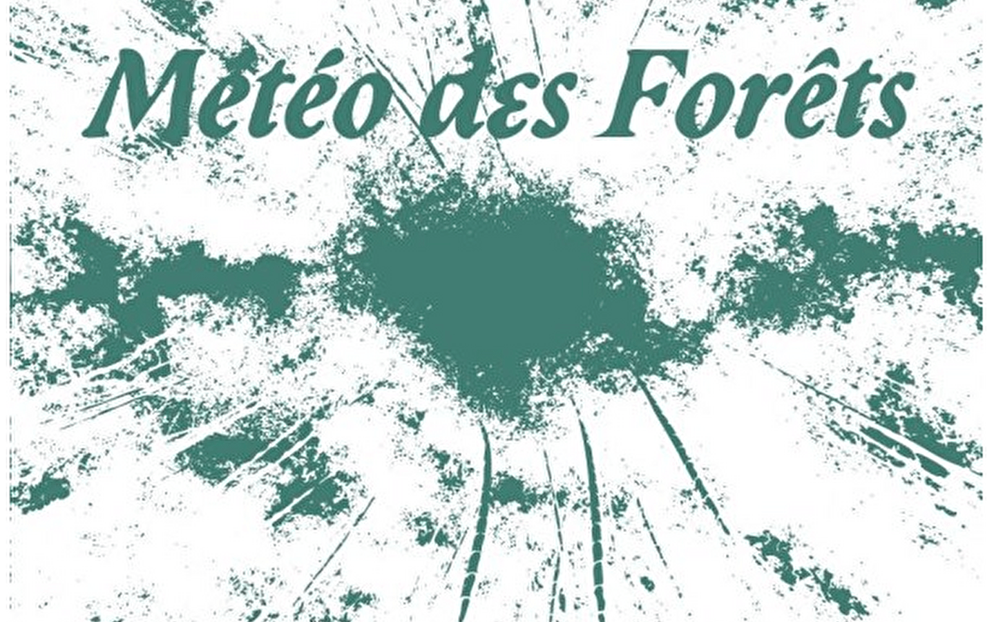 Forest Weather