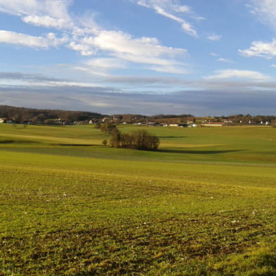 On the Ajoie plateau 