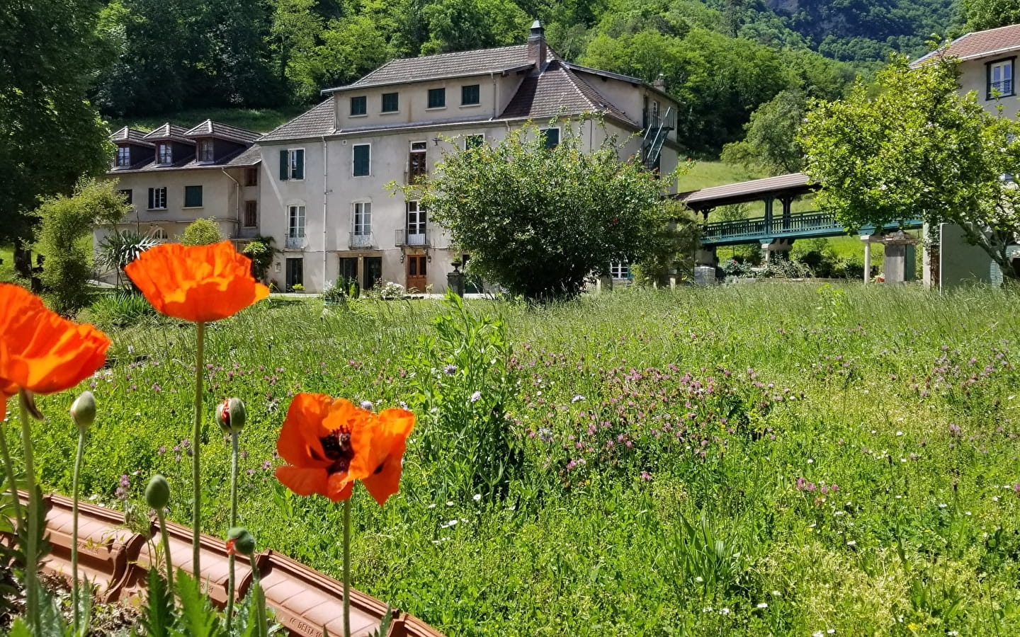 Visite commentée de la crypte et du parc de l'abbaye