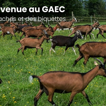 Le coquard outlet l'animal