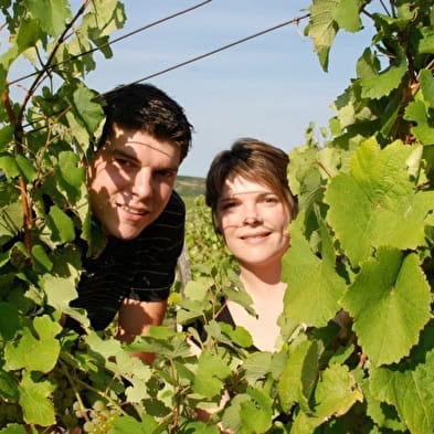 Open cellars at Domaine Désiré Petit