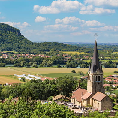 Chroniques d'un village vigneron : la vie de Benoitte