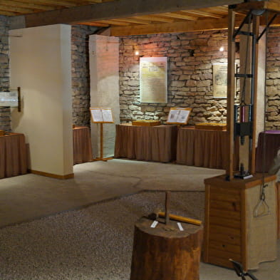 Château-musée Le Trésor des Séquanes