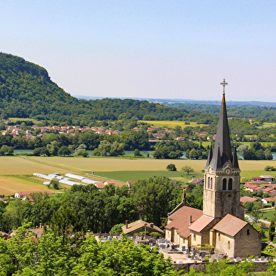 Visite guidée : St-Sorlin-en-Bugey, village vigneron