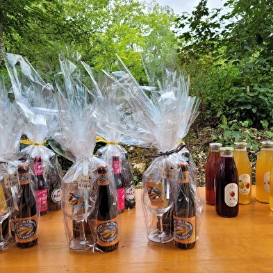 Les Trails enthousiastes de Talissieu