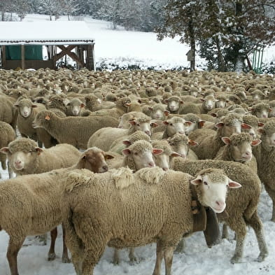 Bergerie de la Cordière