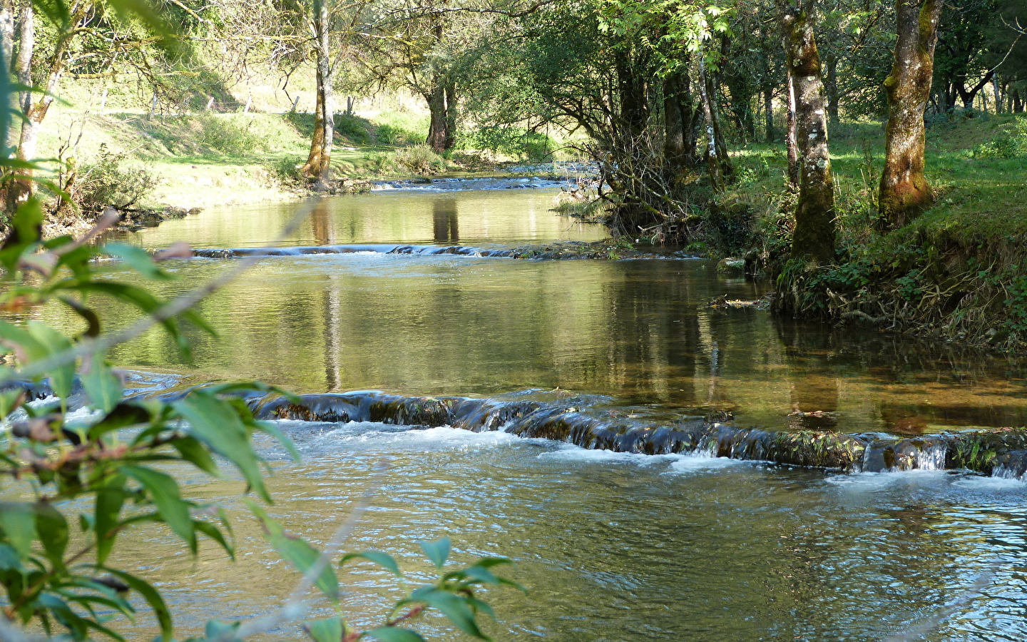 Mount guillon walking loop