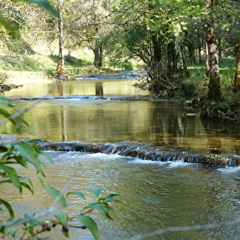 Mount guillon walking loop - GUILLON-LES-BAINS