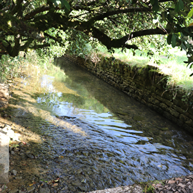 Verjon, au fil de l'eau