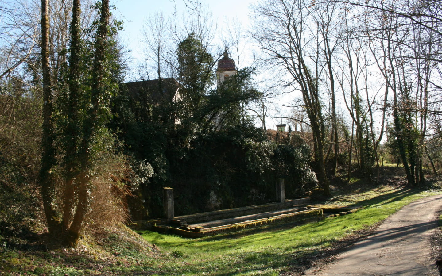 Les Vignes