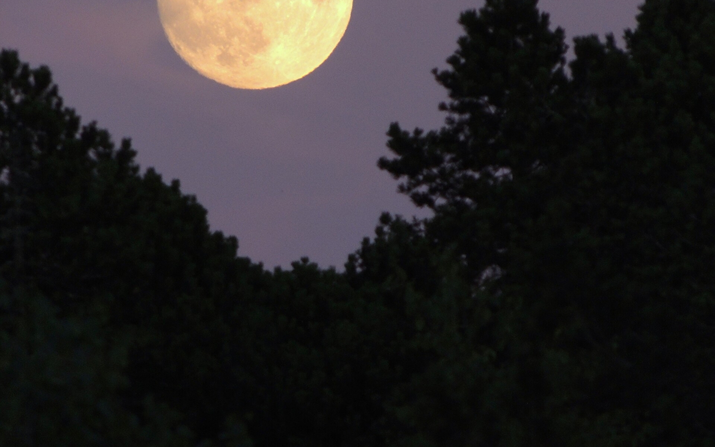 Meditation and relaxation at dusk