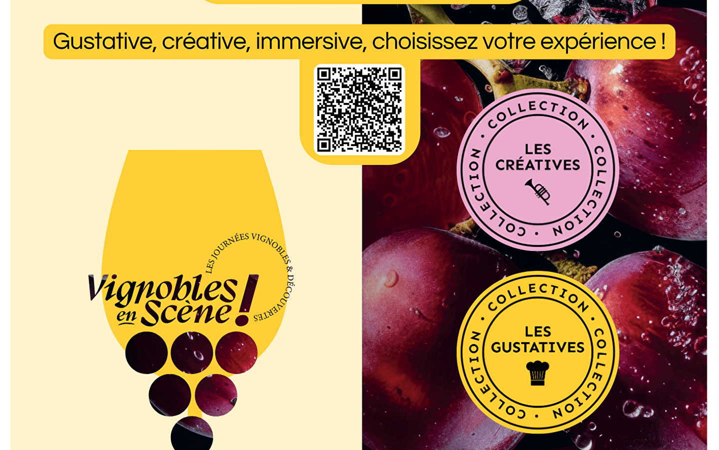 Gourmet journey: wines & chocolates 