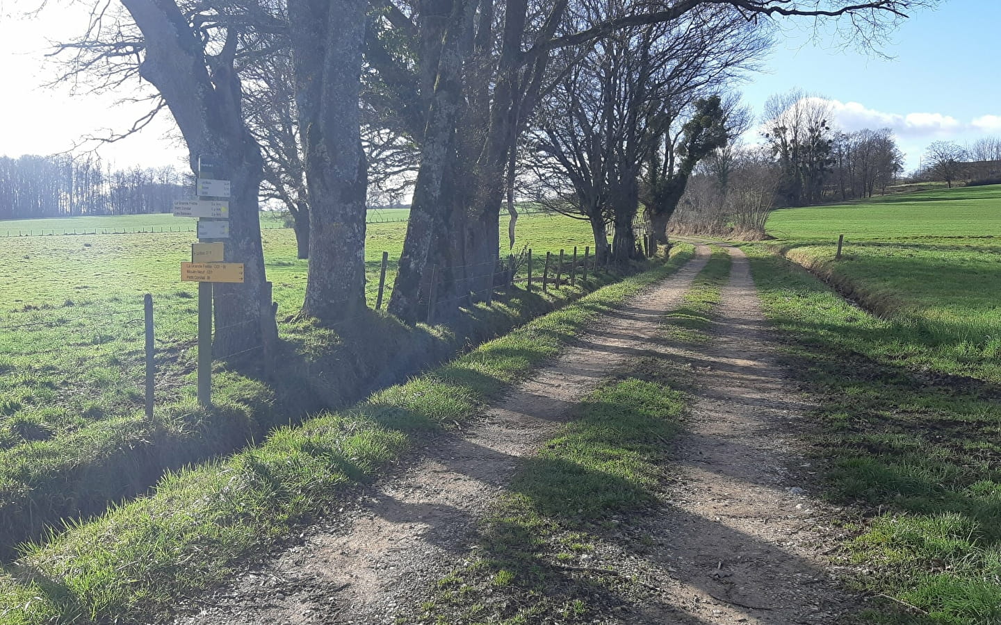 Etang des Baisses et ferme de Bévey (VTT)