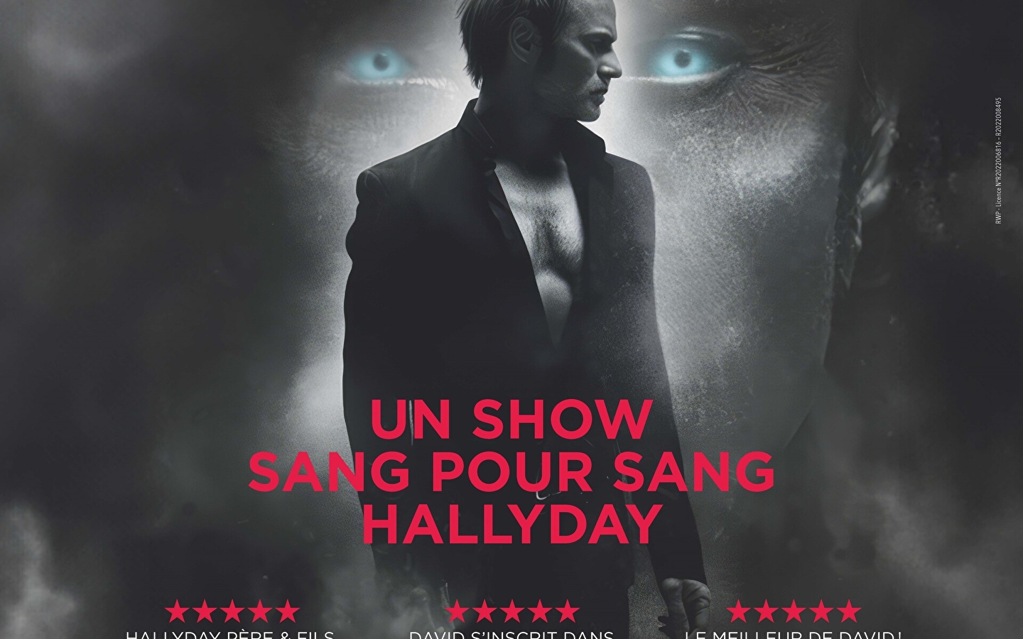 David Hallyday : Requiem pour un fou