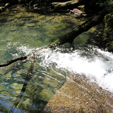 Fontaine-Noire, ENS de l'Ain
