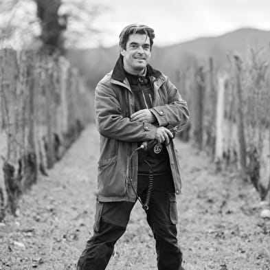 Domaine de Pacotille - Producteur de vin