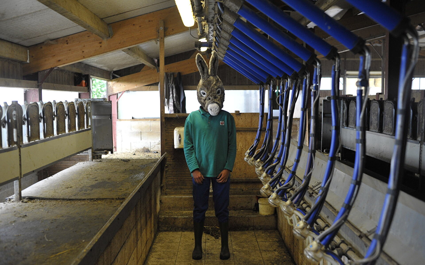 Exit from residency - Chlore - Cie Animal Mou