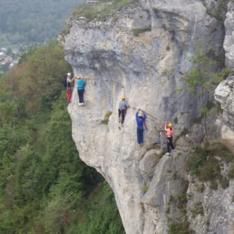 On sniffe beaucoup entre Alpes et Jura - SWI